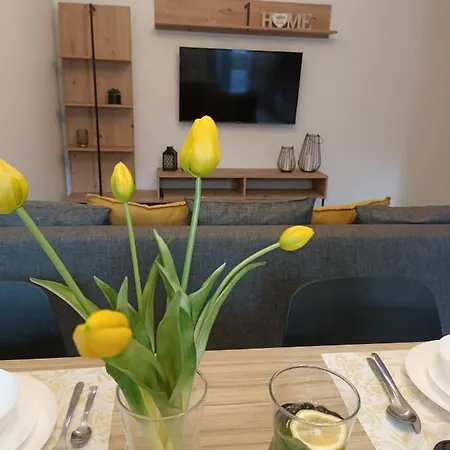 Ottimo Dolina Apartment