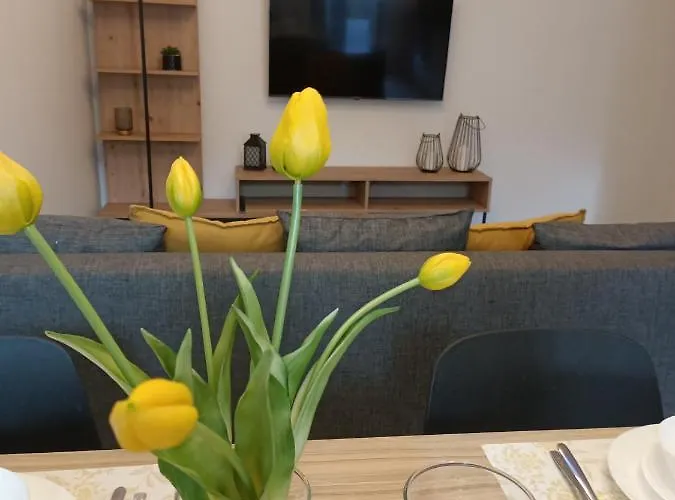 Ottimo Dolina Appartement